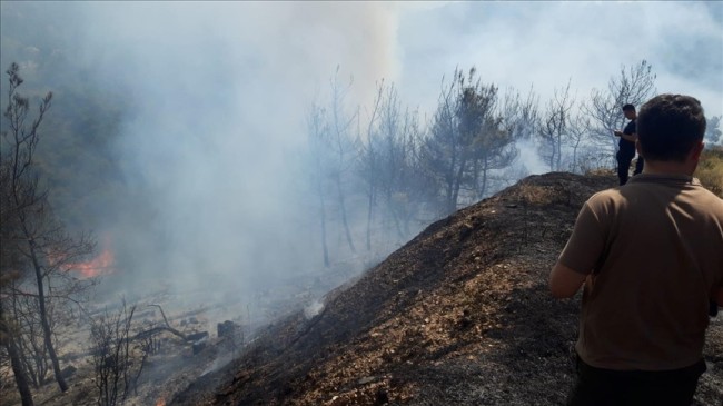 İzmir’in Kemalpaşa ve Menemen İlçelerinde Orman Yangını Çıktı