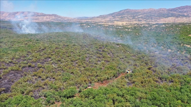 Diyarbakır’ın Lice İlçesinde Çıkan Orman Yangınına Müdahale Ediliyor