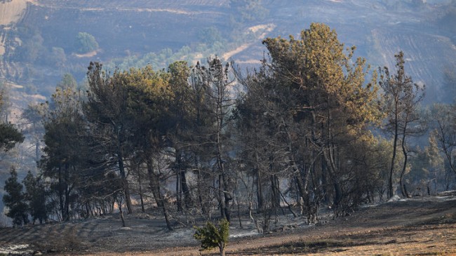 Çanakkale’deki Orman Yangını Kontrol Altına Alındı