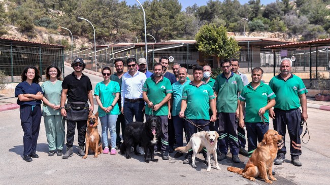 Büyükşehir Personeli; ‘Can Dostlarla Cana Yakın İletişim’ Kuruyor