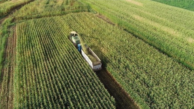 Çiftçilere Bu Yıl İçin Ödenecek Tarımsal Destekler Belli Oldu