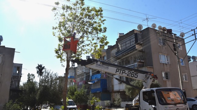 TOROSLAR BELEDİYESİNDEN, AĞAÇLARA KIŞ BAKIMI