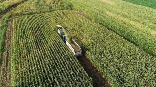 Çiftçilerin 11,2 Milyar Liralık Mazot ve Gübre Desteği Kartlarına Tanımlandı