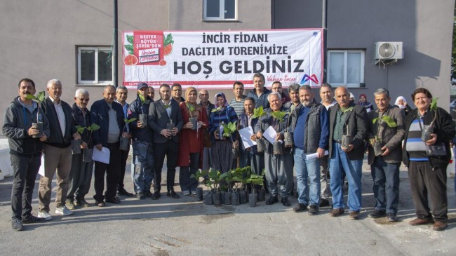 Büyükşehir’den Üreticilere ‘İncir Fidanı’ Desteği