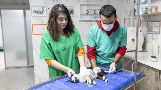 Mersin’de Patili Dostlar Büyükşehir’le Güvende