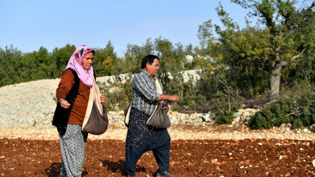 Üreticinin Yüzü 2023’te de Büyükşehir İle Güldü