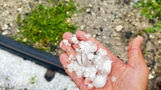 Tarsus’ta Dolu Yağışı Çiftçileri Vurdu “Ürünler Zarar Gördü”