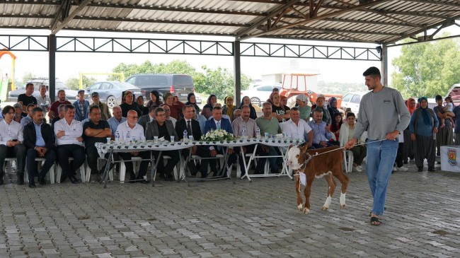 Hacıhamzalı Mahallesi’nde 2. Buzağı Güzellik Yarışması Düzenlendi