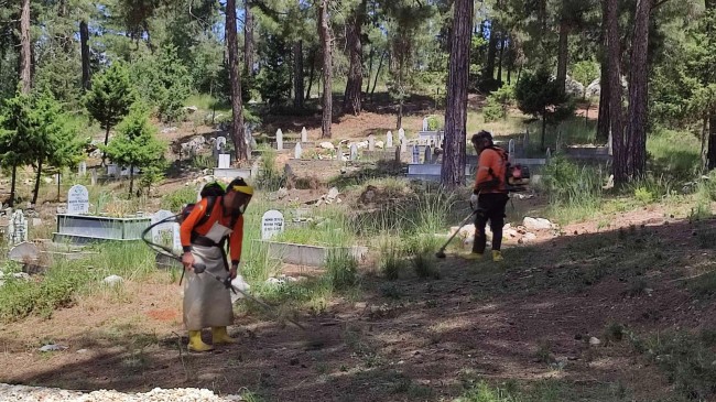 BÜYÜKŞEHİR EKİPLERİNDEN KURBAN BAYRAMI ÖNCESİ ÇAMLIYAYLA’DA MEZARLIK TEMİZLİK ÇALIŞMASI
