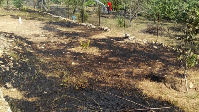 Çamlıyayla’da Çıkan Yangında Meyve Ağaçları Zarar Gördü