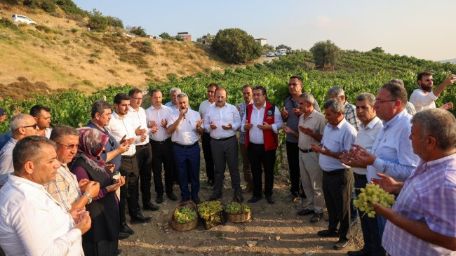 VALİ ALİ HAMZA PEHLİVAN, TARSUS TARIM KAMPÜSÜNDE ÜZÜM HASADI GERÇEKLEŞTİRDİ