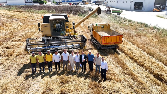 TARSUS’UN VERİMLİ TOPRAKLARINDA BÜYÜYEN BEREKET ” BUĞDAY”