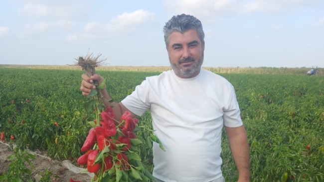 Hüseyin Toprak: “Türkiye’nin Tarım Politikaları Acilen Değişmeli”