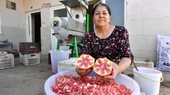 Büyükşehir’den Bir İlk: Nar Taneleme Makinesi