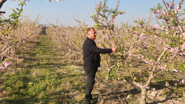 Ali İLK : “Bölgemizde Tarihinde Görülmemiş Bir Don Vakası Yaşanıyor, Hükümetin acilen bölgemizi afet alanı ilan etmesi gerekiyor. “