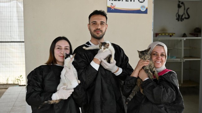 Büyükşehir ve Gönüllüler Patili Dostlar İçin İş Birliği Yapıyor