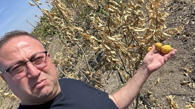 Veyis Avcı’dan Milletvekillerine ; Gerekenleri Yapınız