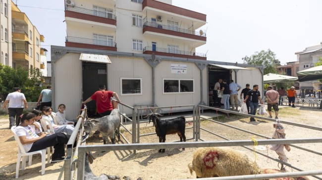 Mersin Büyükşehir’le Kurban Kesimi Hem Hijyenik Hem Ücretsiz