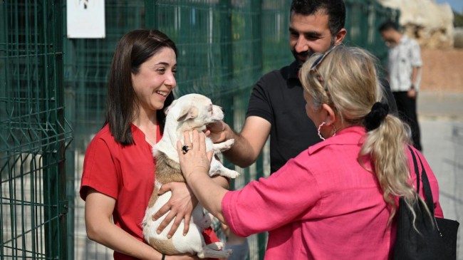 Mersin Barosu Hayvan Hakları Komisyonu, Patiköy’ü Ziyaret Etti