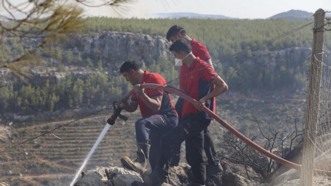 Silifke’de Çıkan Orman Yangınına Büyükşehir Ekipleri Müdahale Ediyor