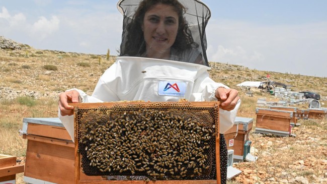Büyükşehir’in Tarım Destekleri Sayesinde Seher Tipi Hayallerine Kavuştu