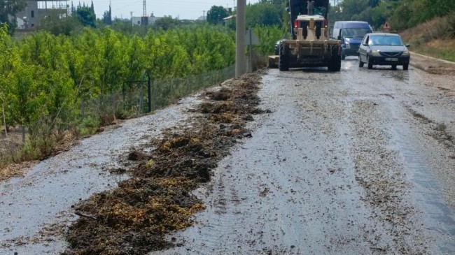 YOLA DÖKÜLEN ÜZÜMLER BÜYÜKŞEHİR EKİPLERİNCE TEMİZLENDİ