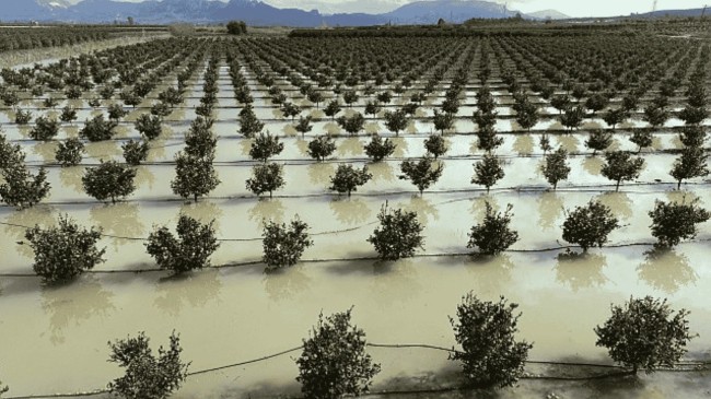 Seyhan Barajı’nda Kapaklar Açıldı, Tarsus’ta 8 Bin Dönüm Arazi Sular Altında