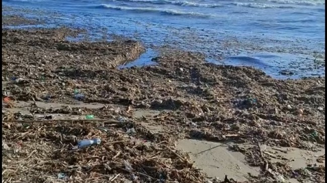 Tarsusluların Yoğun Kullandığı “Adanalıoğlu Sahili Bataklığa Döndü”
