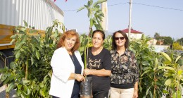 Mersin Büyükşehir Belediyesi’nden  ”Avokado Fidanı Dağıtımı Projesi”