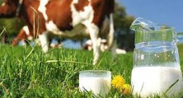 Çiğ Süt Üretimi 2022 Yılında %7,1 Azalarak 21 Milyon 563 Bin 492 Ton Oldu