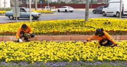Büyükşehir Yaz Mevsimini Rengarenk Çiçeklerle Karşılıyor