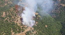 Manisa’nın Alaşehir İlçesinde Orman Yangını Çıktı