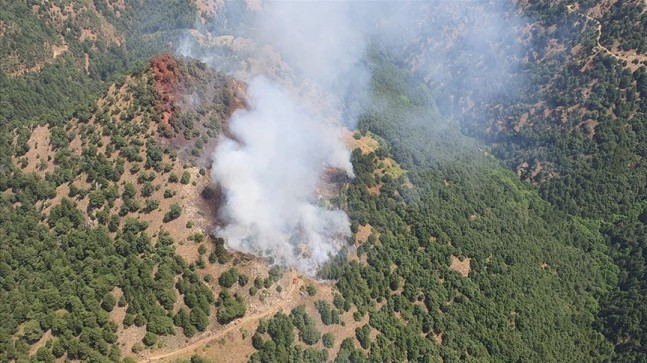 Manisa’nın Alaşehir İlçesinde Orman Yangını Çıktı