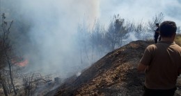 İzmir’in Kemalpaşa ve Menemen İlçelerinde Orman Yangını Çıktı