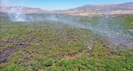 Diyarbakır’ın Lice İlçesinde Çıkan Orman Yangınına Müdahale Ediliyor