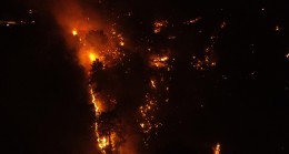 Orman Yangınlarının % 48’i İhmal, Dikkatsizlik ve Kaza Sonucu Çıktı