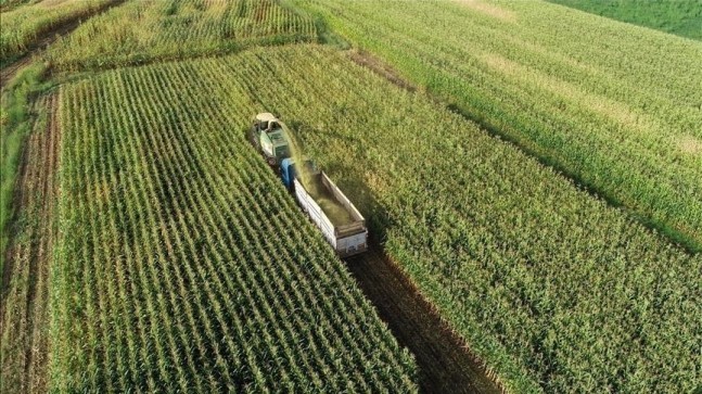 Çiftçilere Bu Yıl İçin Ödenecek Tarımsal Destekler Belli Oldu