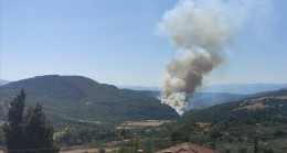 Manisa’nın Soma İlçesinde Orman Yangını Çıktı