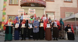 Diyarbakır Annelerinin Evlat Nöbeti 5. Yılına Giriyor